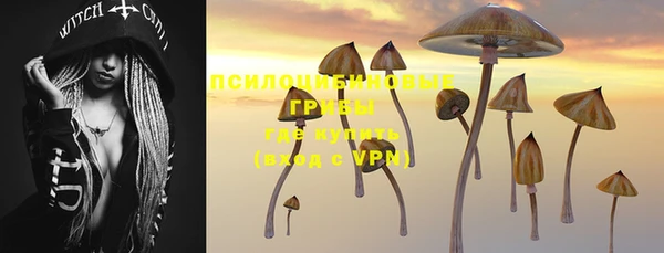 герыч Балахна