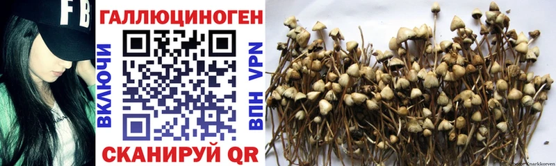 как найти закладки  Троицк  Галлюциногенные грибы MAGIC MUSHROOMS 